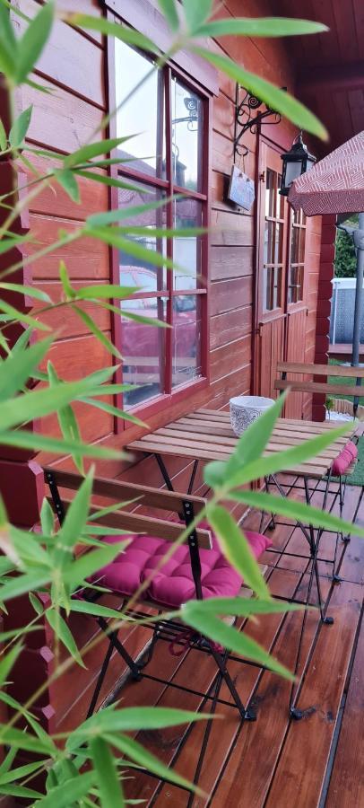Le Chalet Des Dany Saint-Mamert-du-Gard エクステリア 写真